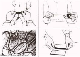 Generic placeholder image
